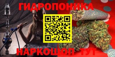 гидра Беслан