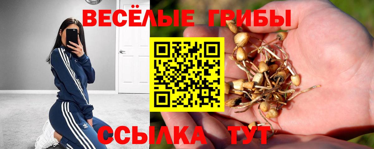 Псилоцибиновые грибы ЛСД Зеленокумск