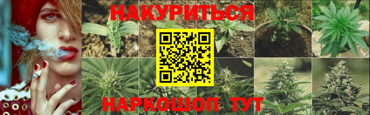 Конопля SATIVA & INDICA  Бошки Шишки конопля  Зеленокумск  Шишки марихуана SATIVA & INDICA  Вход с VPN 